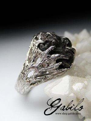 Meteorite silver ring