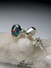Triplet opal silver earrings 