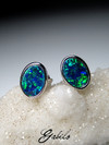 Doublet opal silver earrings 