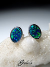 Doublet opal silver earrings 