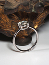 Anthracite - Grey Diamond 18K white gold ring