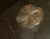 Dekoration mit einem Pyritknoten in Silber