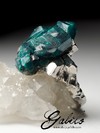 Ring mit Kristallen von Dioptase auf dem Felsen