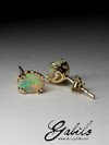 Opal gold stud earrings