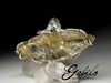 White gold ring with rutilated quartz