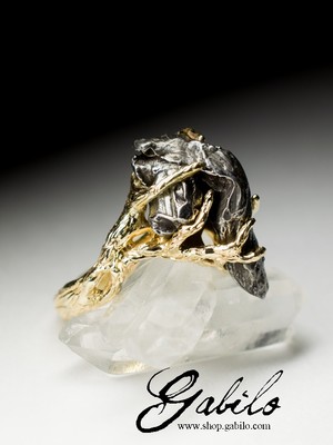 Goldener Ring mit Meteorit 