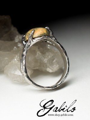 Ring mit Landschaftsjaspis in Silber