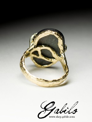 Goldener Ring mit Labrador
